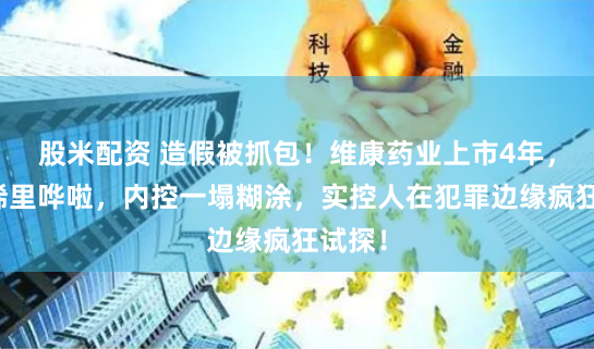 股米配资 造假被抓包！维康药业上市4年，业绩稀里哗啦，内控一塌糊涂，实控人在犯罪边缘疯狂试探！