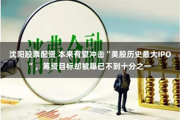 沈阳股票配资 本来有望冲击“美股历史最大IPO”，筹资目标却被曝已不到十分之一