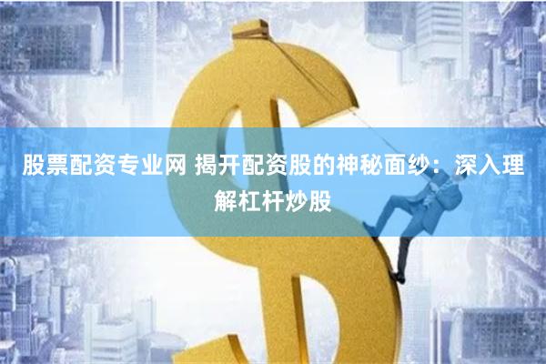 股票配资专业网 揭开配资股的神秘面纱：深入理解杠杆炒股