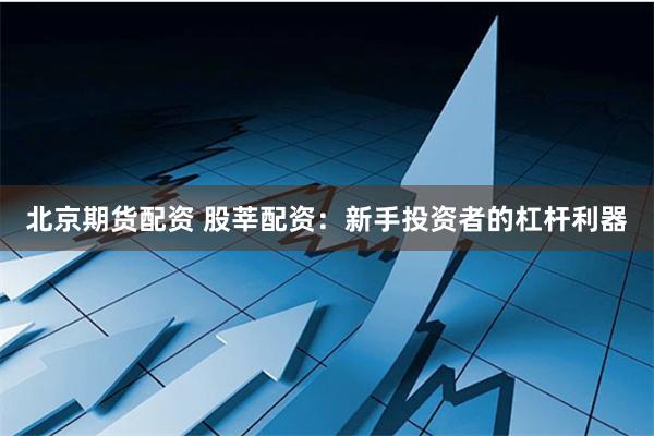 北京期货配资 股莘配资：新手投资者的杠杆利器